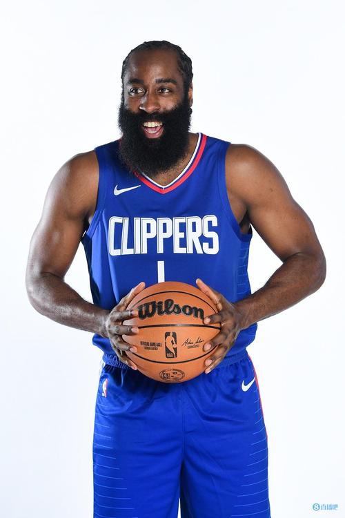 所有人都知道他要出手但挡不住（人尽皆知他将出手，仍无人能挡）